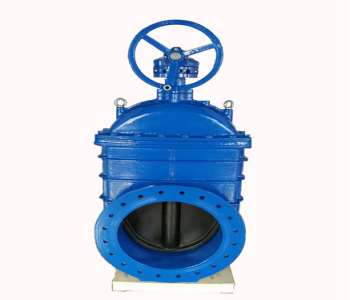 �����C���J�R���l�y